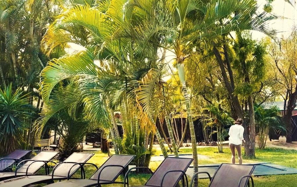 Buffalo Hotel هكتورسبروت المظهر الخارجي الصورة